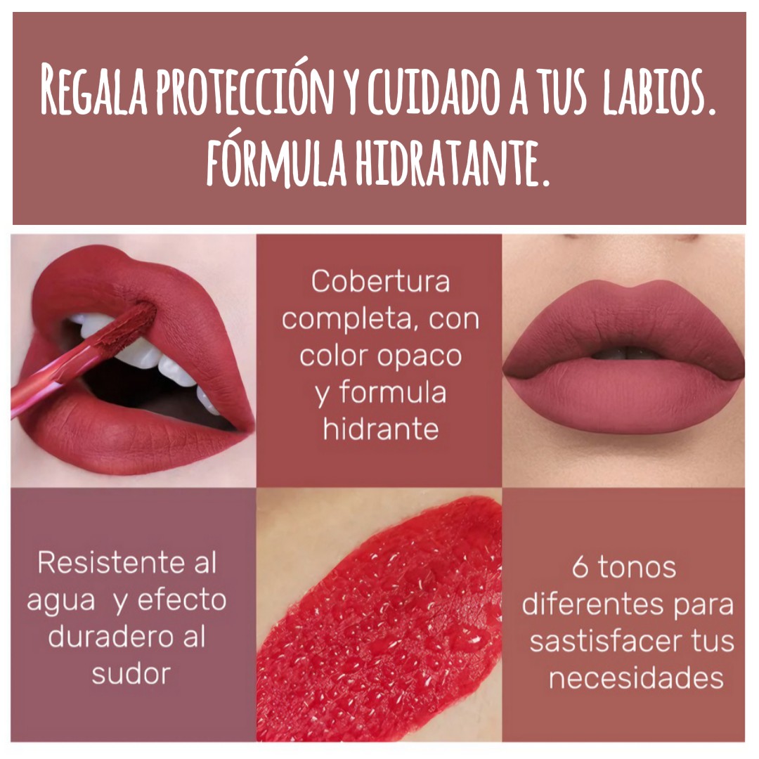 PALETA DE LABIALES X6
